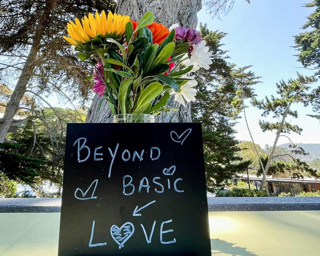 flower vase with sign with text "beyond basic" pointing to "love" with a heart